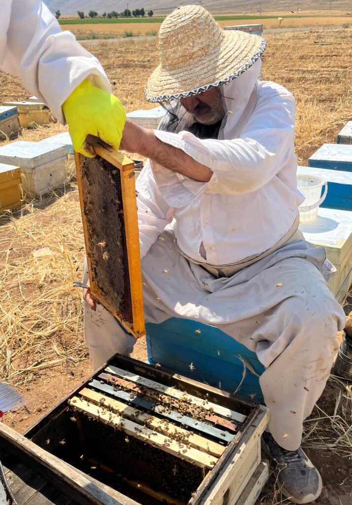 عسل طبیعی هاجر عسلی